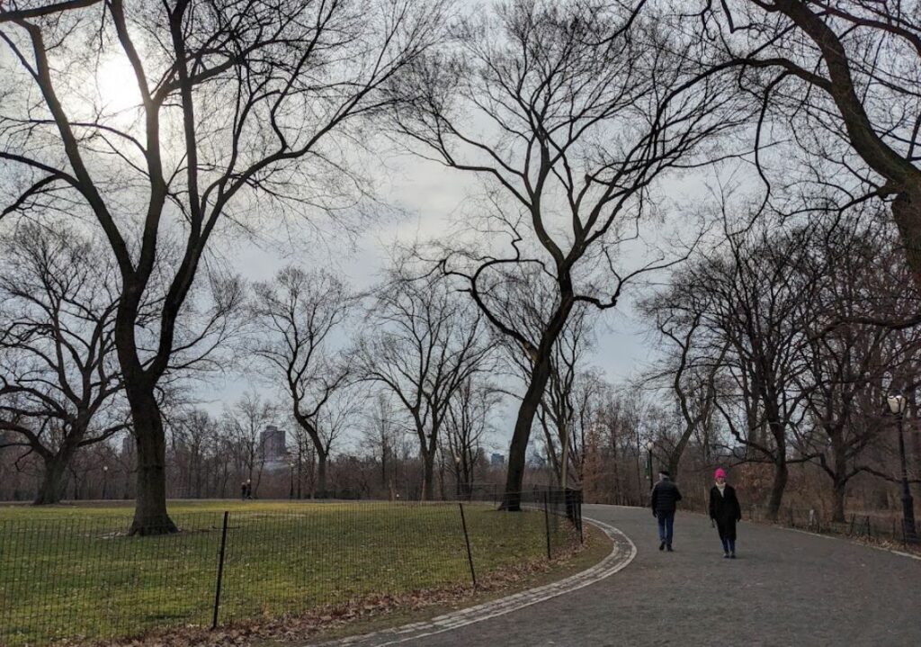 New York Central Park