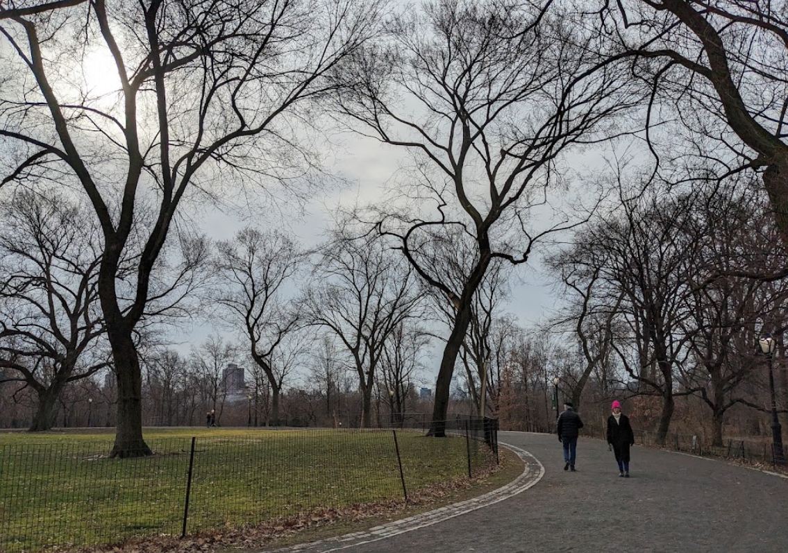 A curved pathway in a park with bare trees and a fence on the left side.